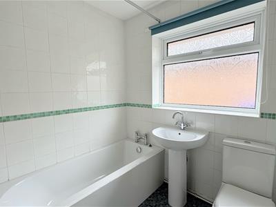 Picture 14